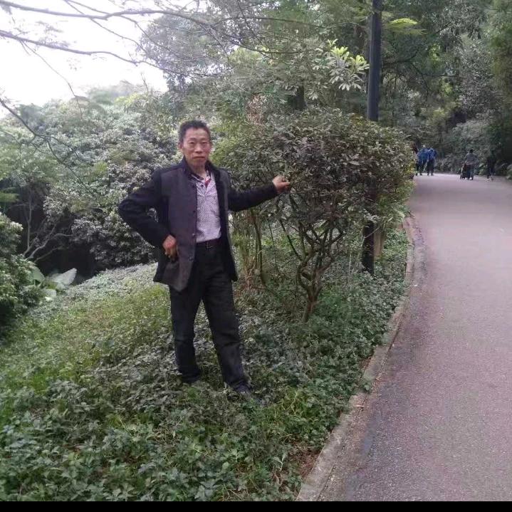 金，四川，马渡关镇，隘口