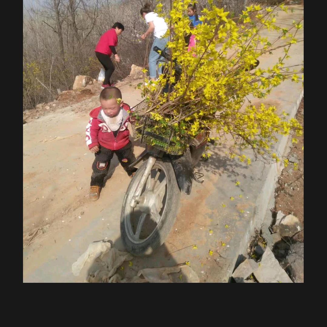 知足常乐