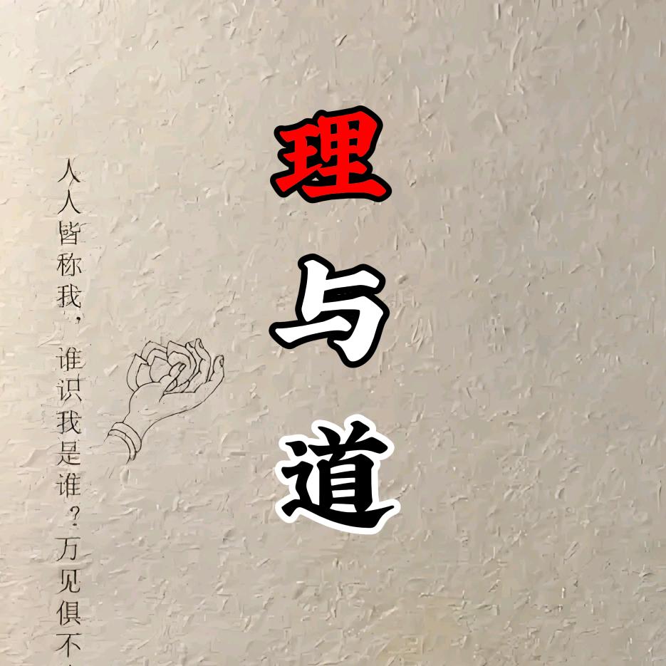 理与道