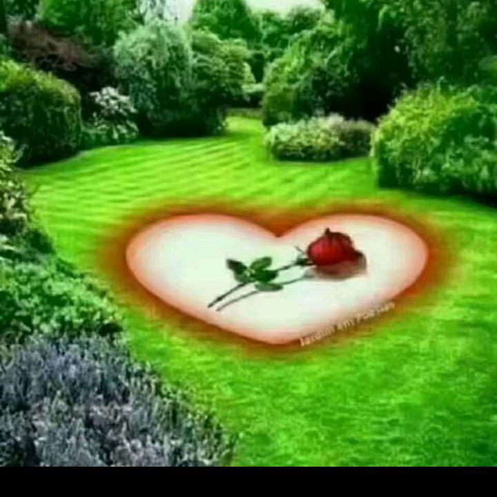 💞💞baht💞💞🍒🍒🍒
