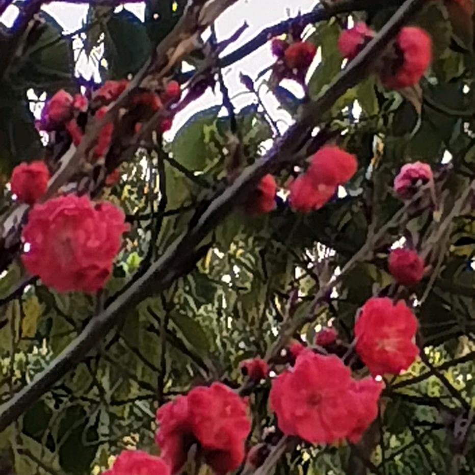 你是我的宝