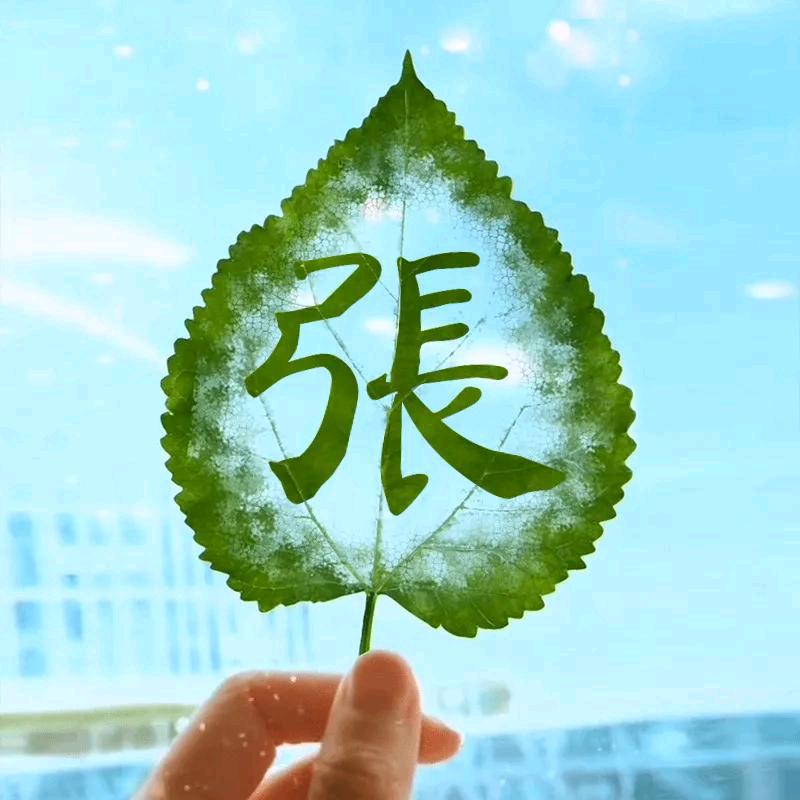 🌟月亮代表我的心🙏🙏