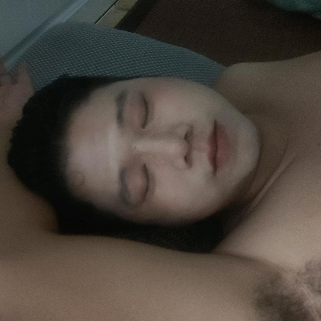 一条只会吃睡的鱼