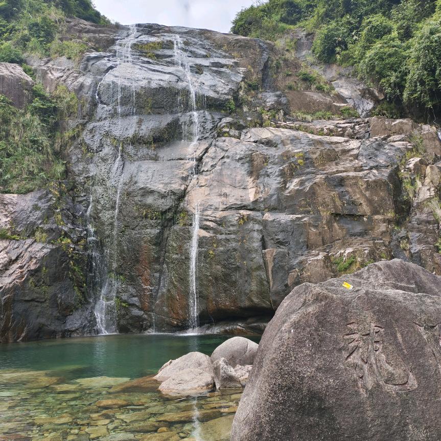 顺利成张