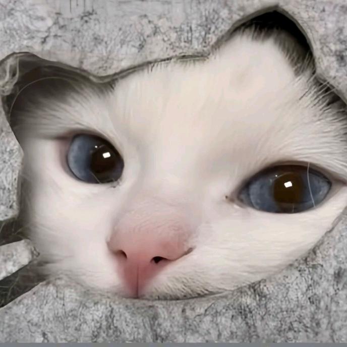 Lila7（被娜姐回复版）