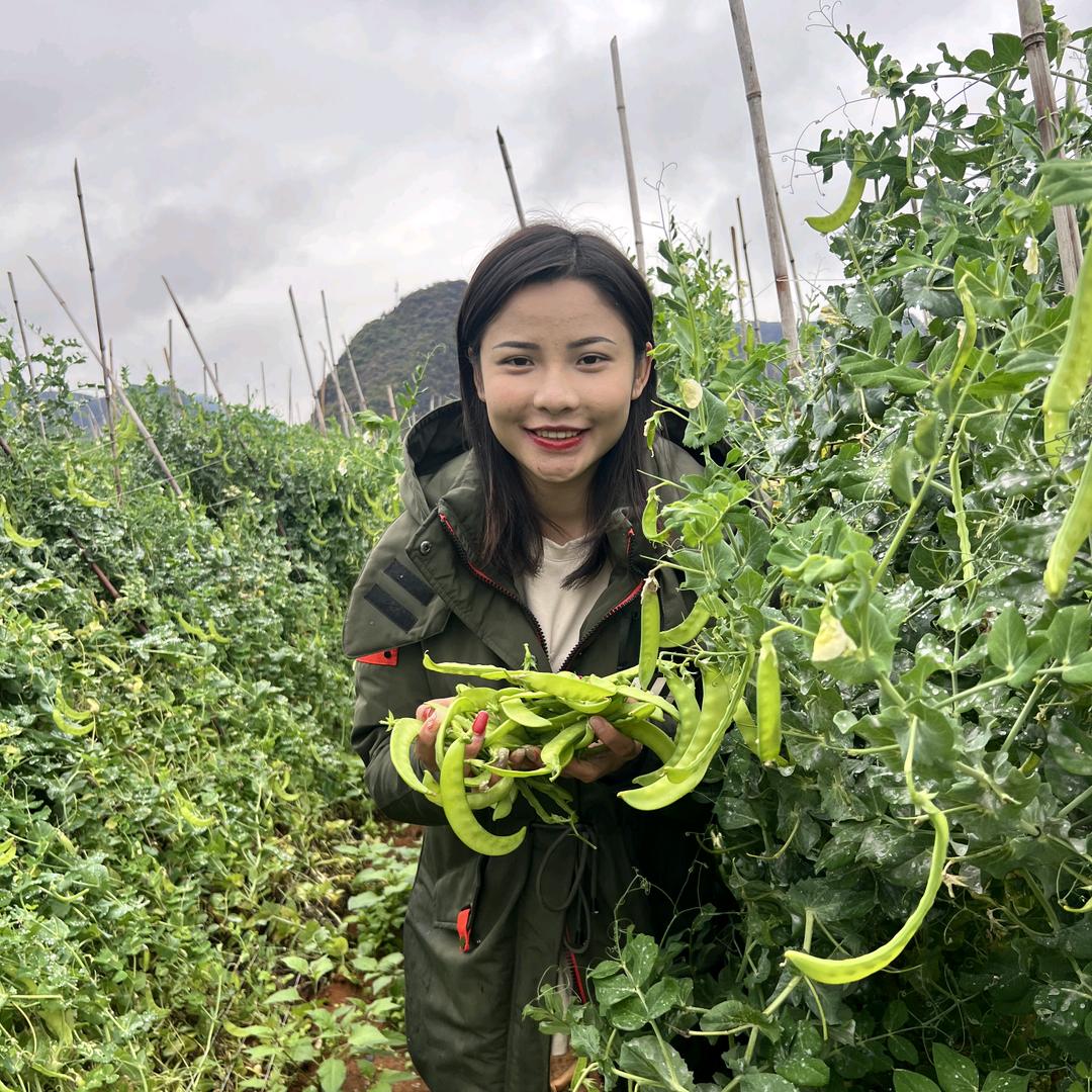 广西乡味优选
