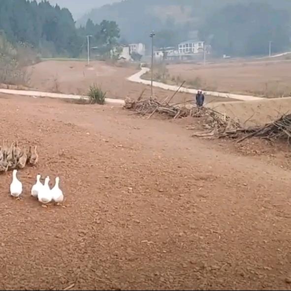 继续永往直前