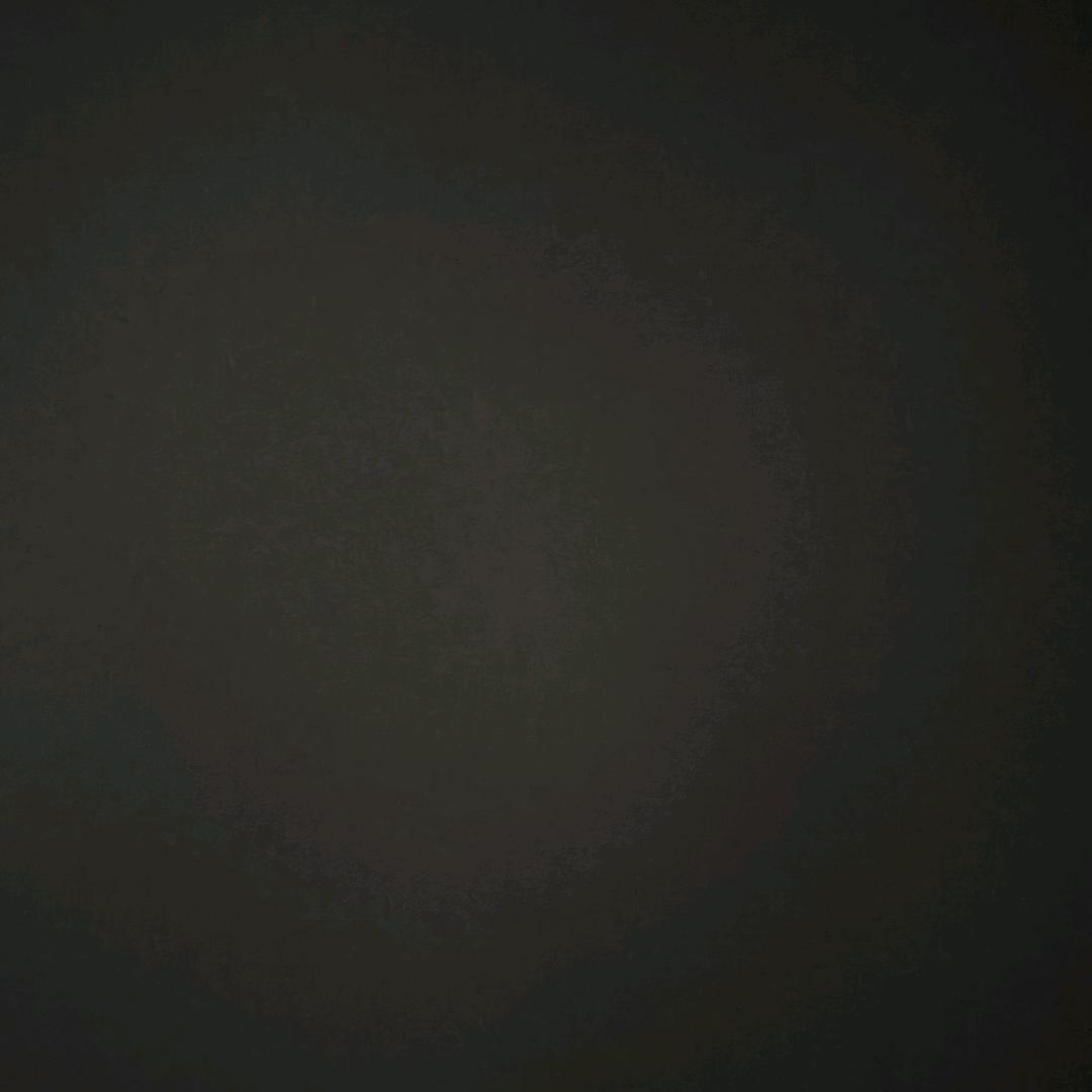 🕊️念女慈🇵🇸