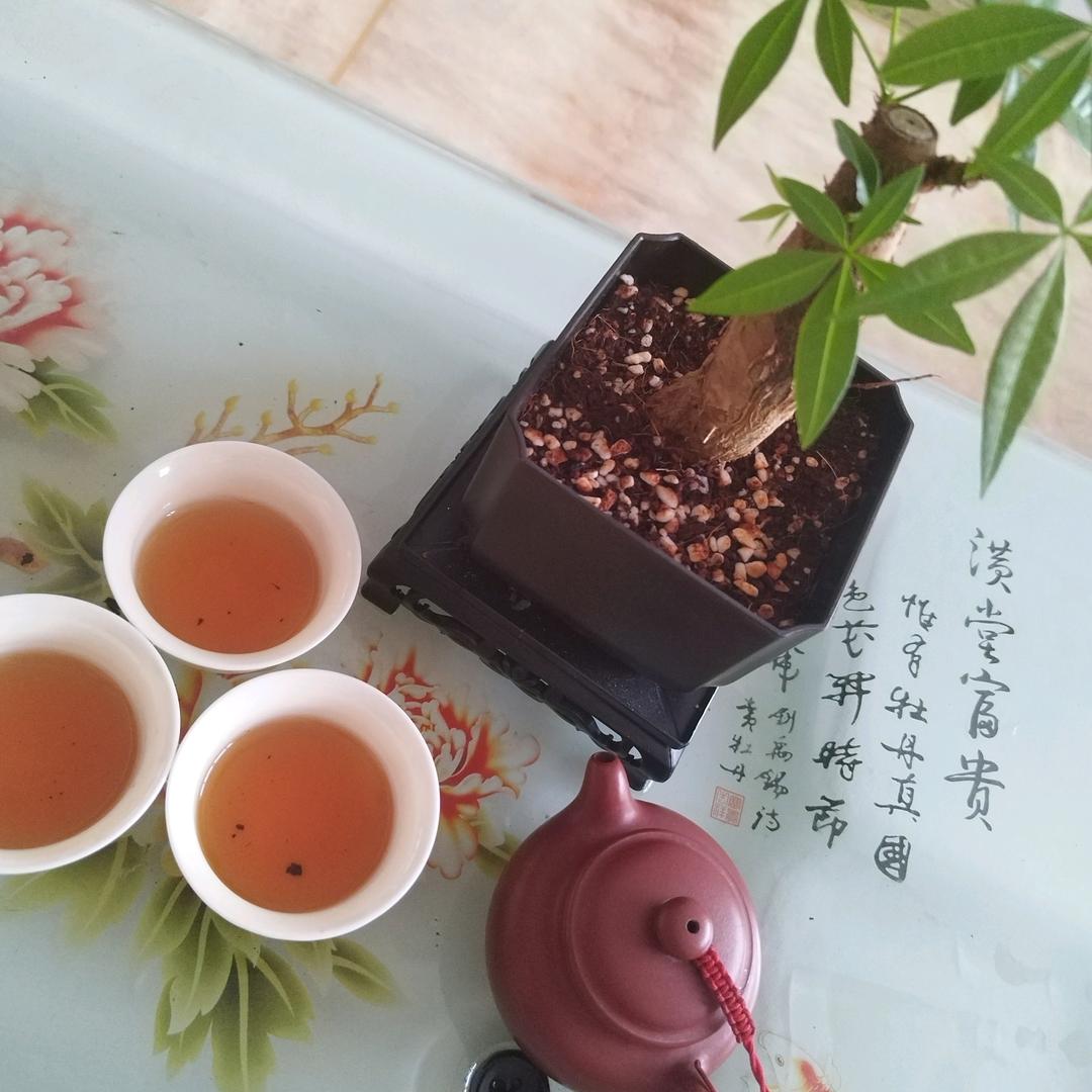 🍎好运连连🍎