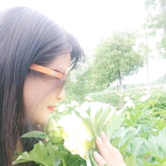 🌹七妹🌺🌹