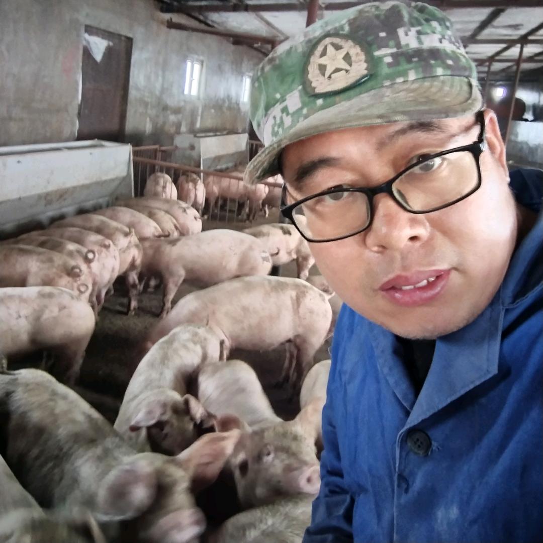 陈小刚拉仔猪