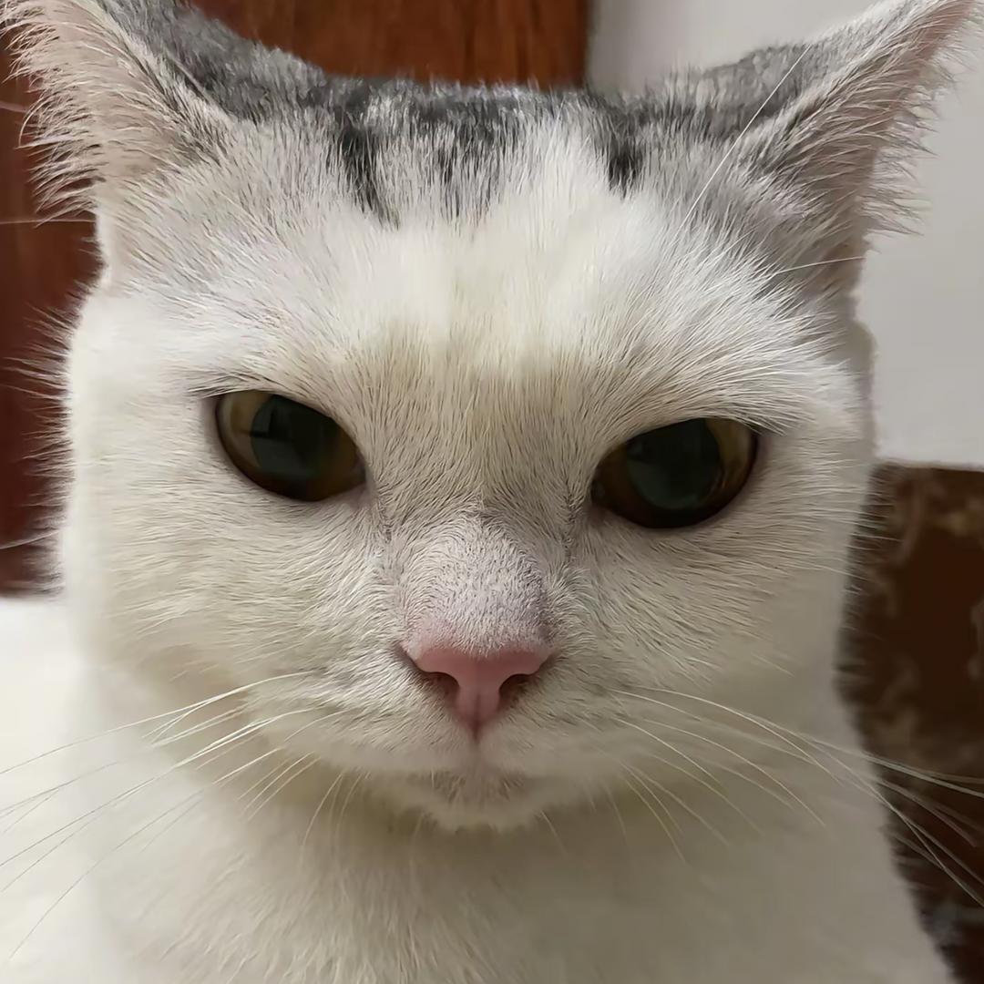 焦糖丸子