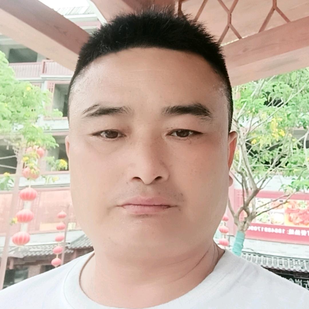 云游四海