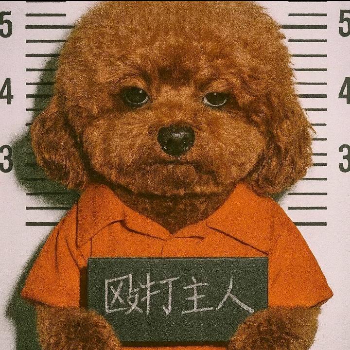 ✨陪一根🚬
