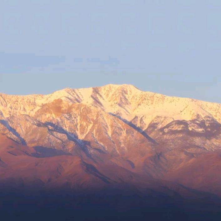 哦呵呵呵（自律中）