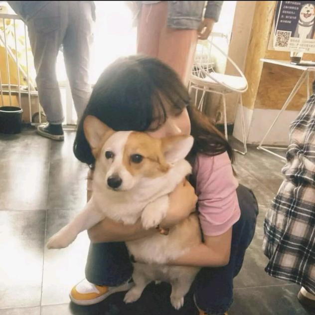 癫子汤包儿
