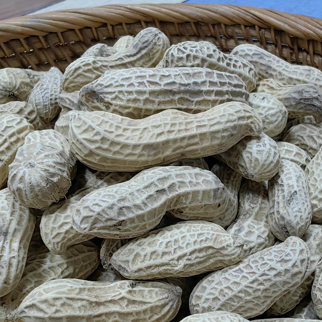 刘佐麻壳花生(丹姐)