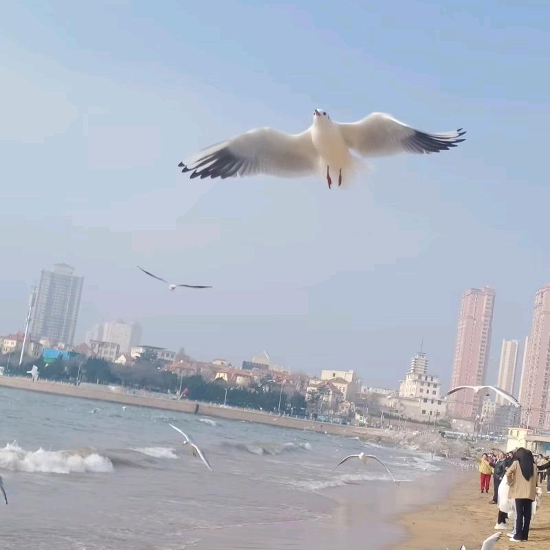 落ঞᩚ幕꧔ꦿ᭄
