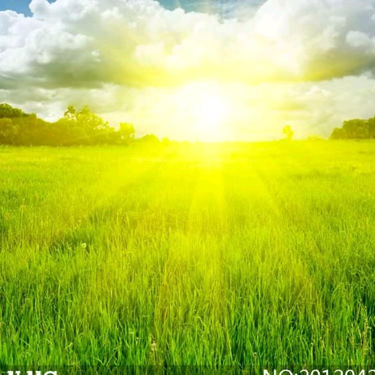 无欲自然心如水