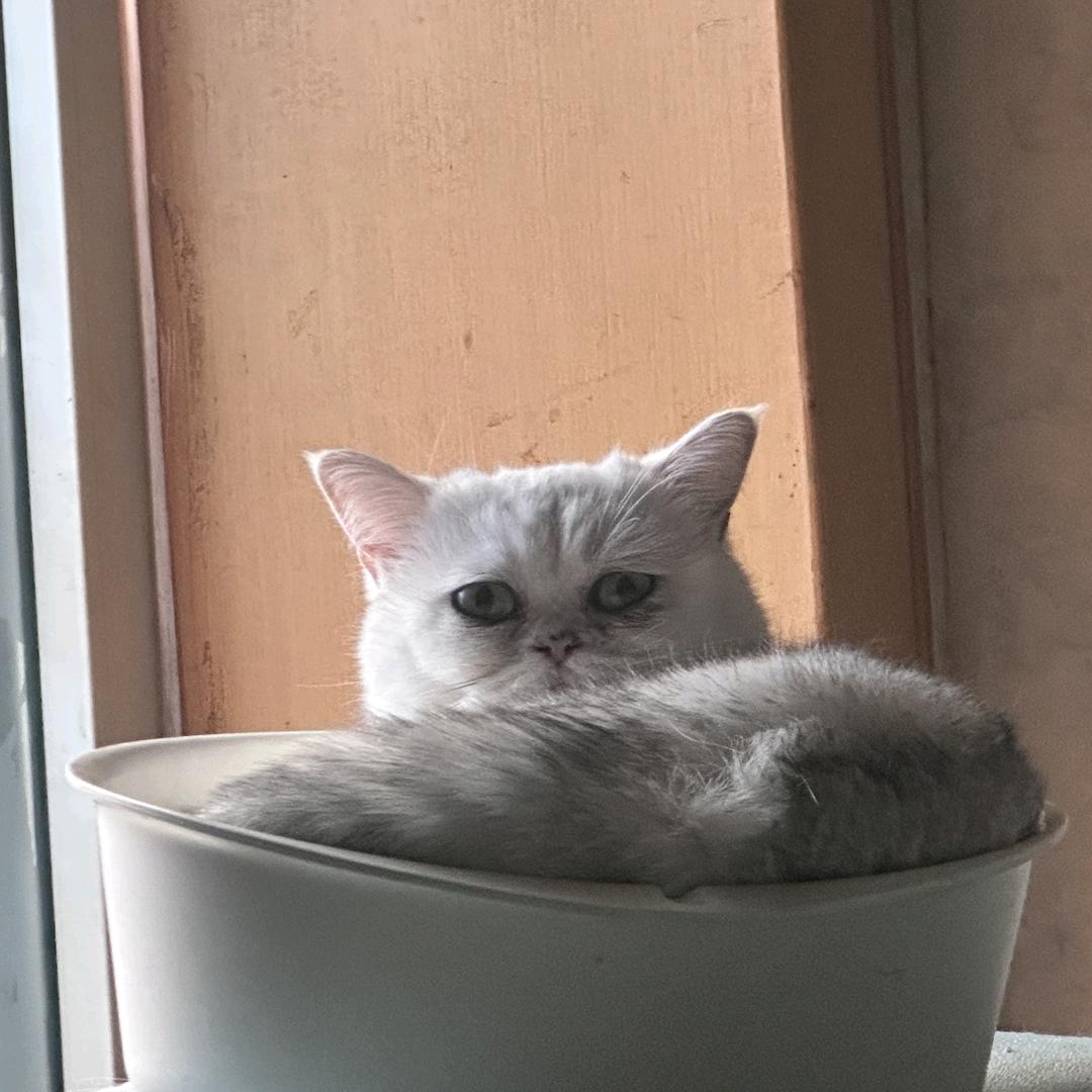 雯姐