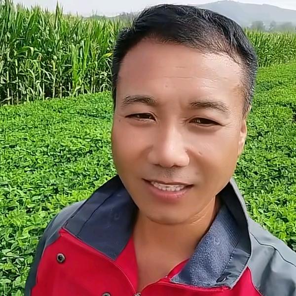 拐河镇沭河农机(小涛）