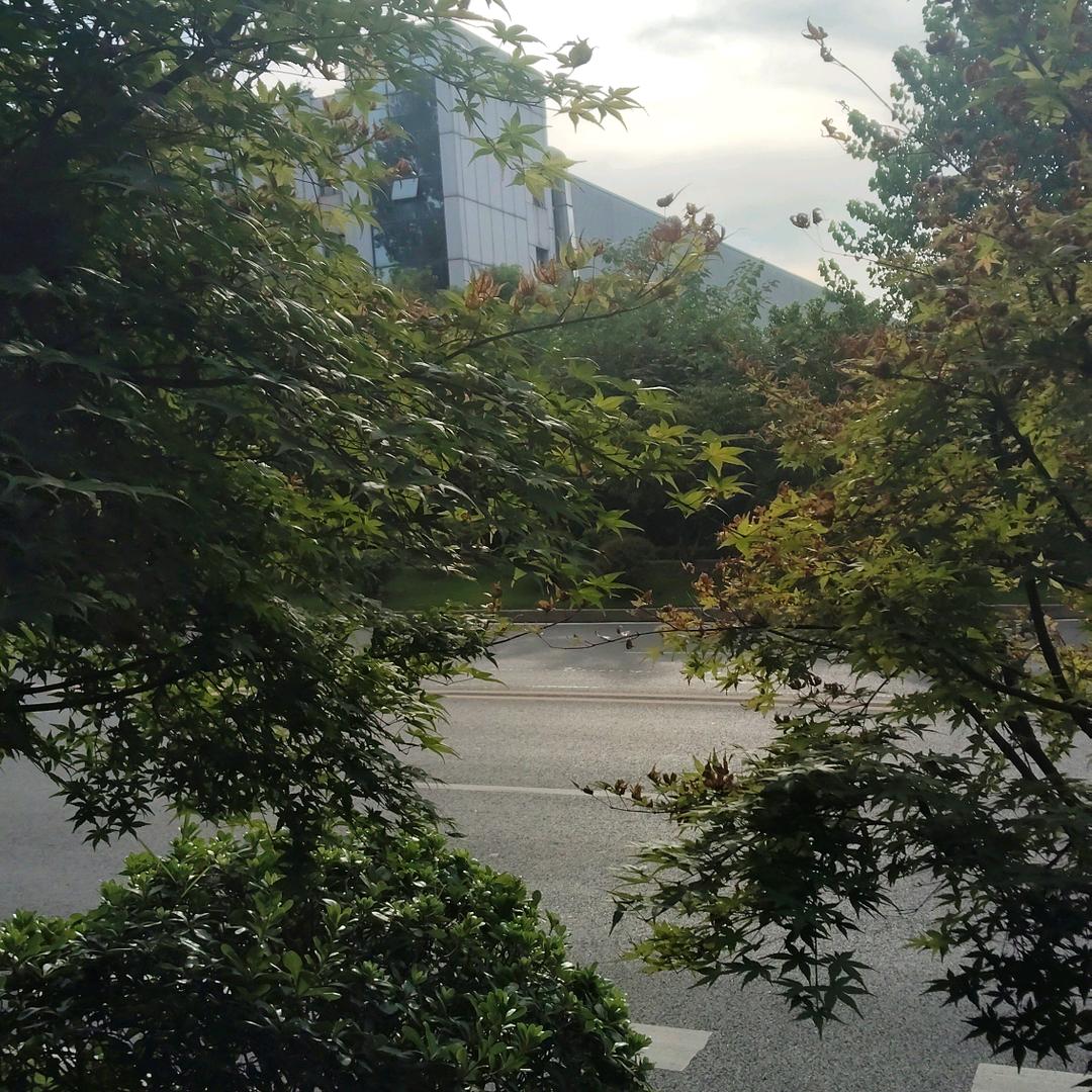 往后余生，全是你