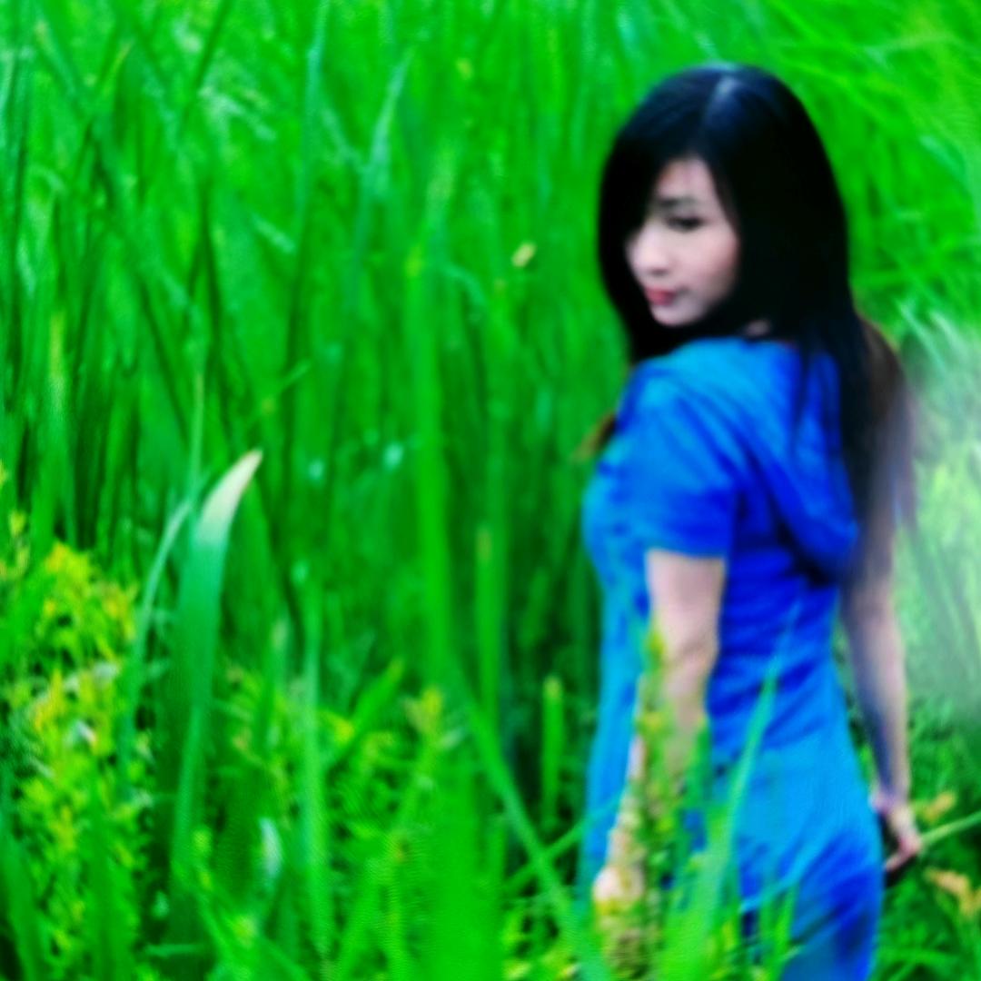 人生如茶