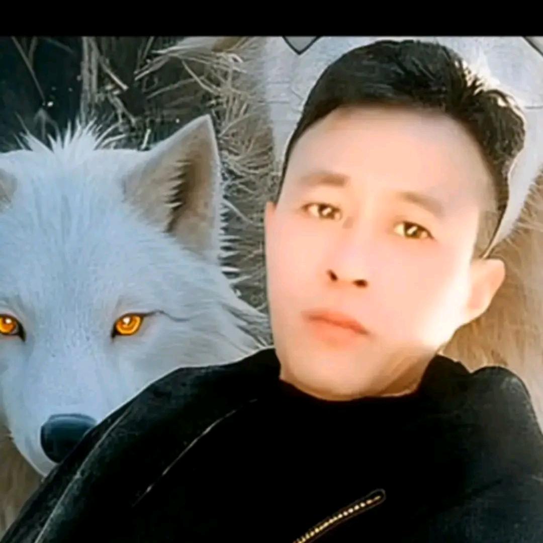 joel bien show my gi