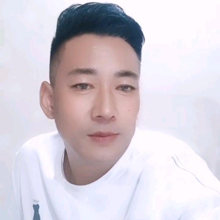 阳光下的白鸽