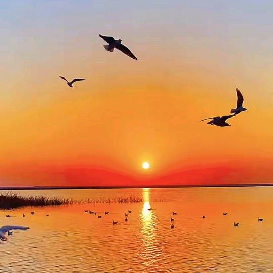 ≈≈≈   人  生  ≈≈≈