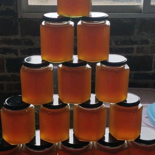 野生蜂蜜沙子崽