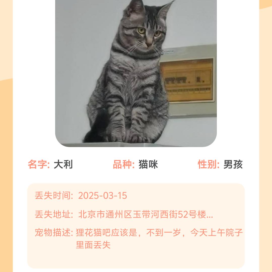 猫猫丢了，有看到的亲人们联系我，感恩