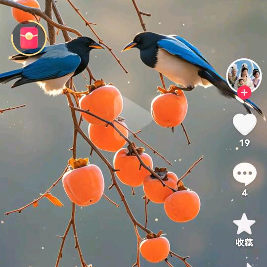 家和万事兴_234525954