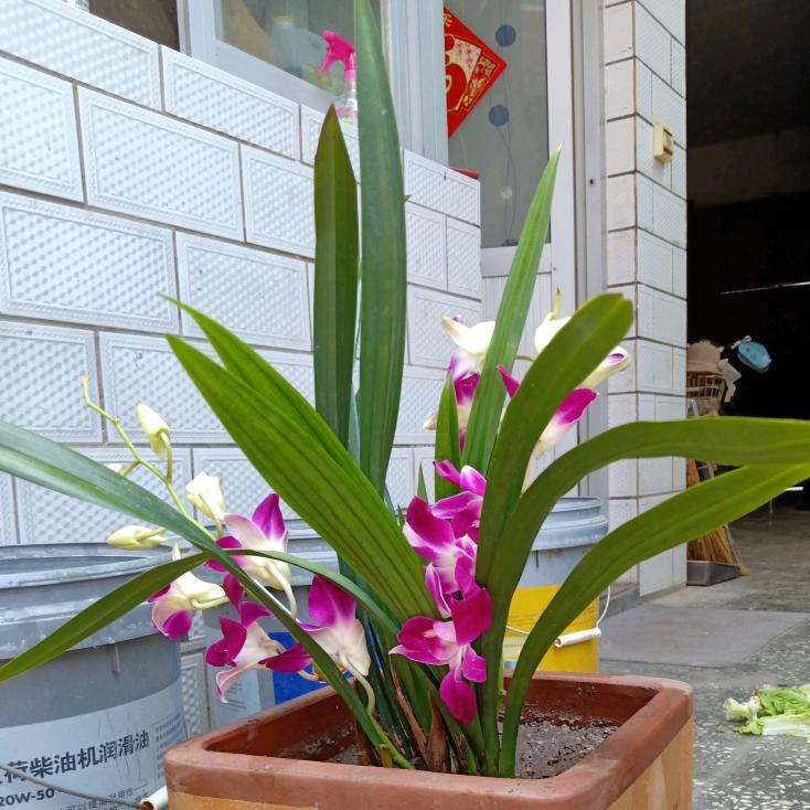 豫西民俗老店
