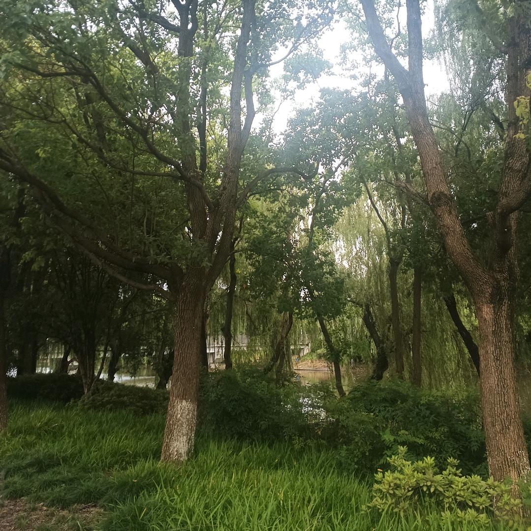 &向夕阳买了醉＆