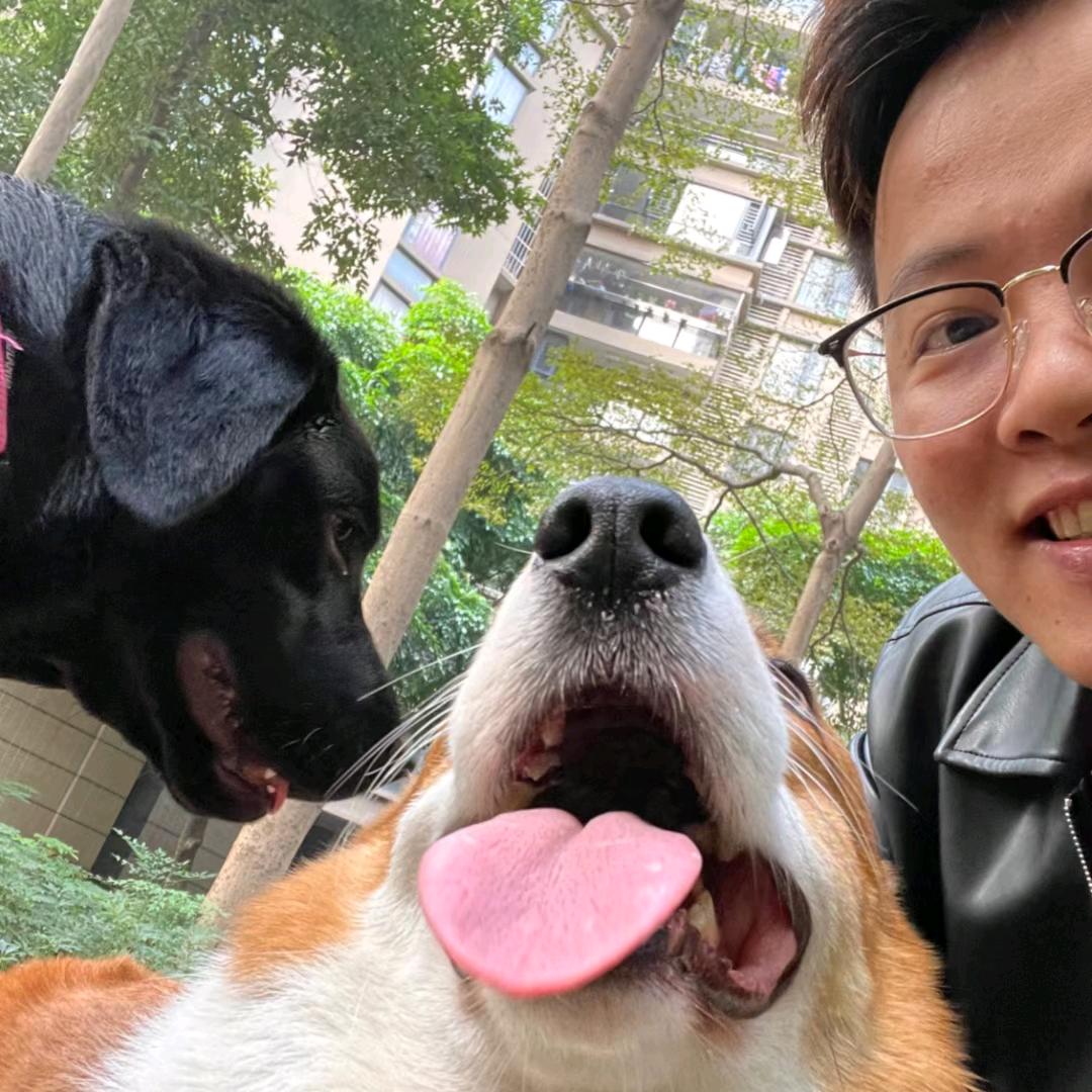 老郑有猫狗