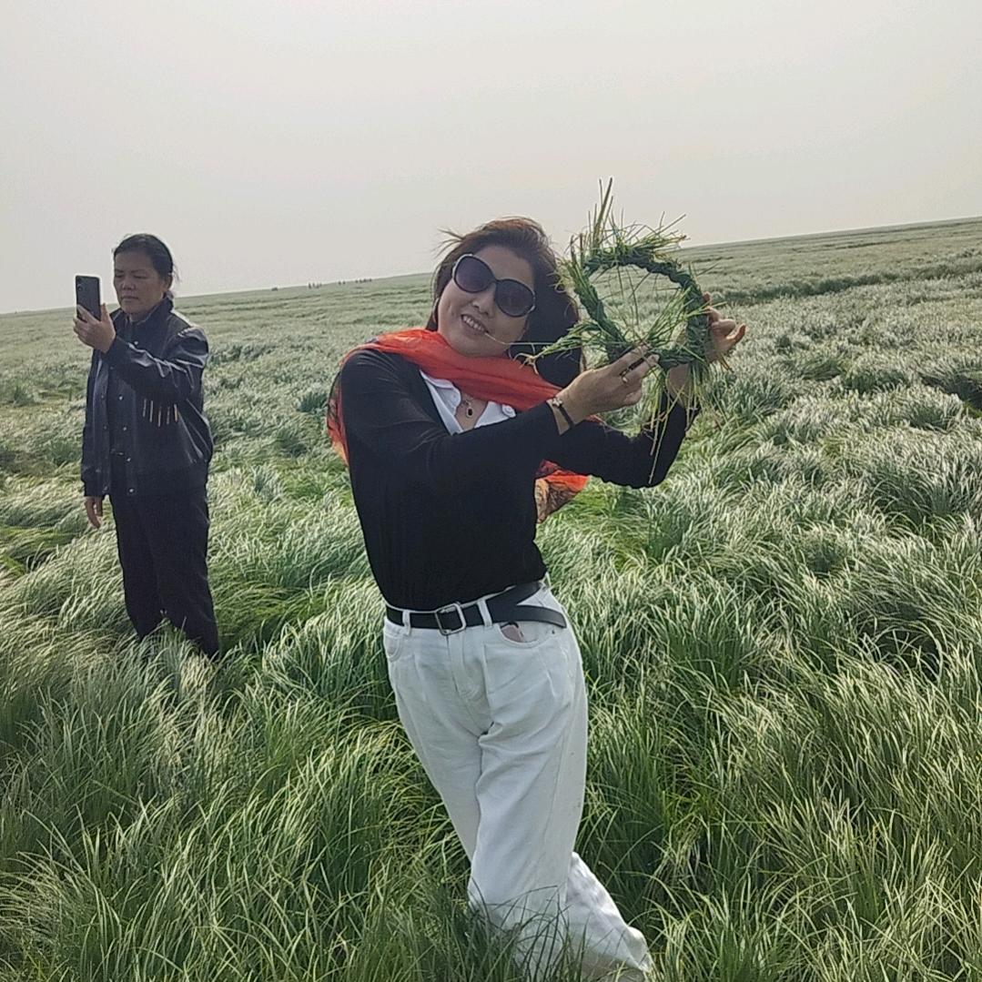 刘三姐