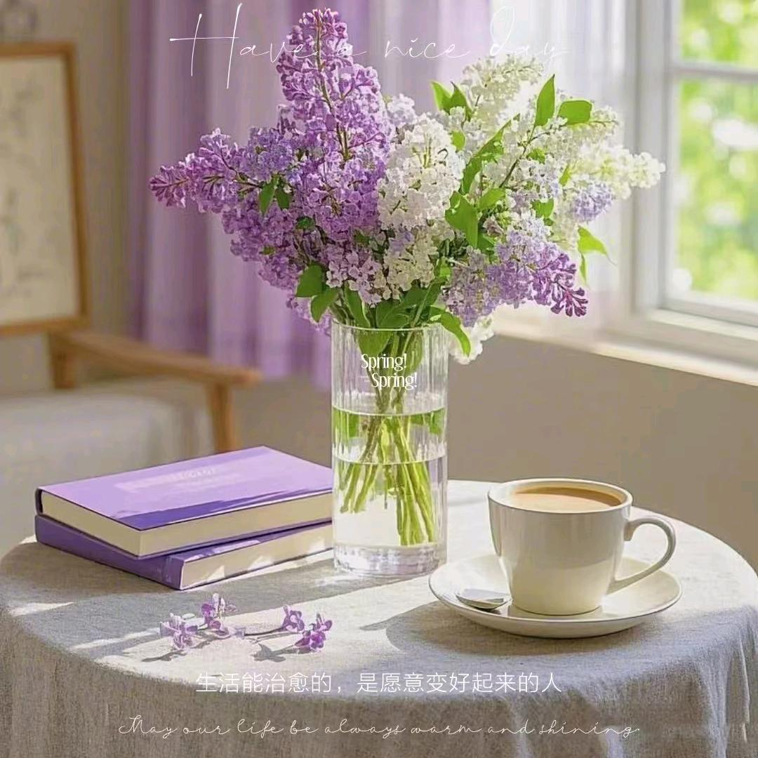 ღ゛仙女不说张话᭄⃨ও