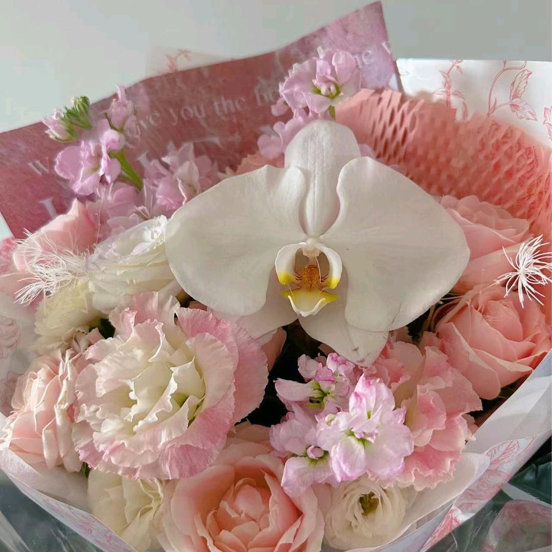 莳兰头像