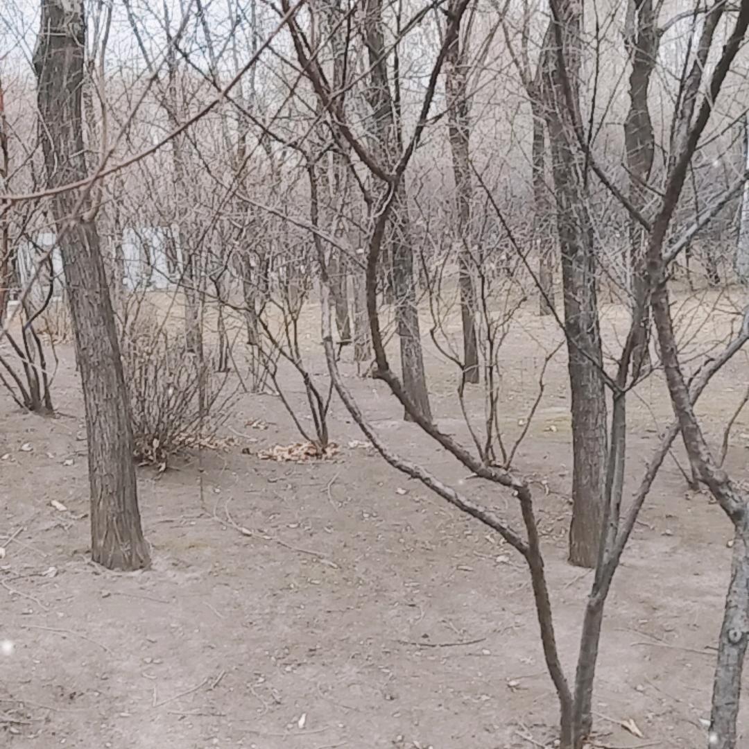 有山有水