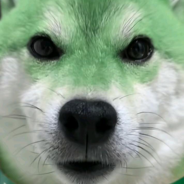 单身狗