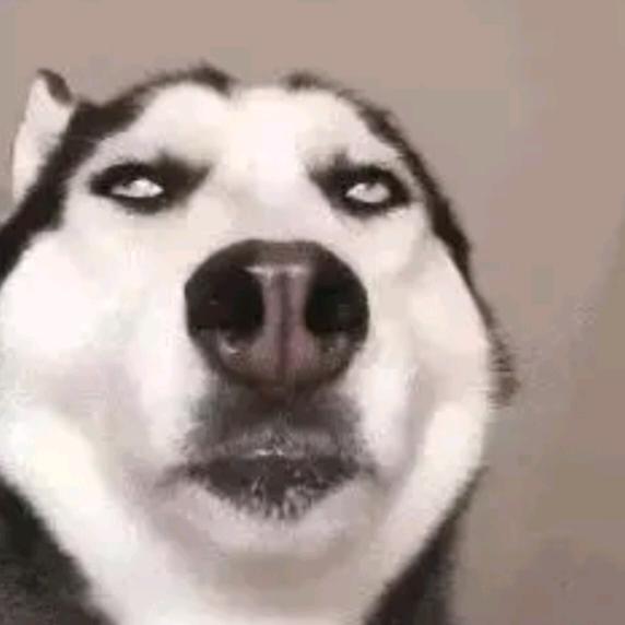 不搞抽象