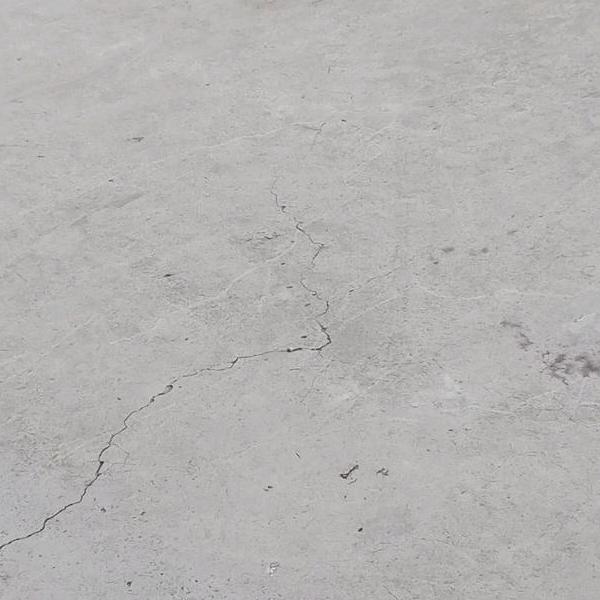 jr