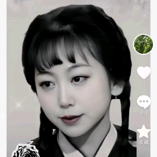 李家二小姐
