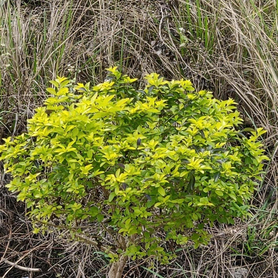 沙县国际大酒店