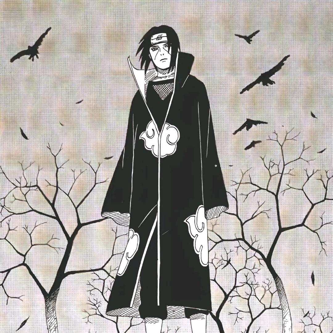 三条