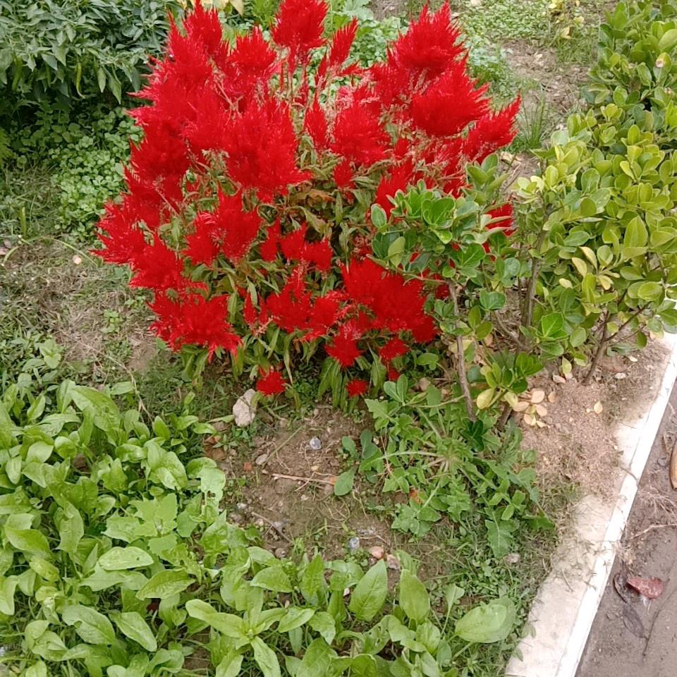 笑口常开。