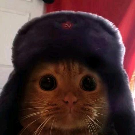 皮皮的沙雕网友