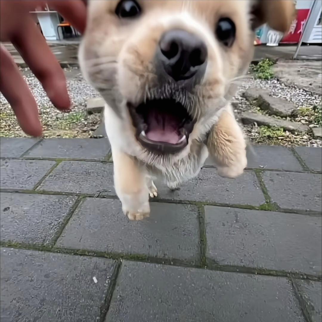 开心快乐最重要