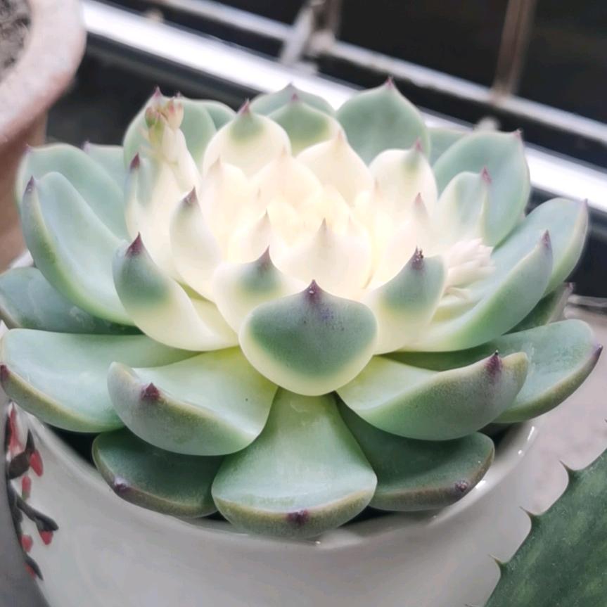 蹉跎岁月